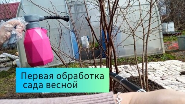 Первая обработка сада весной