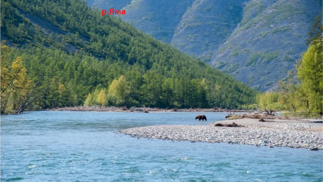 Русская рыбалка 4