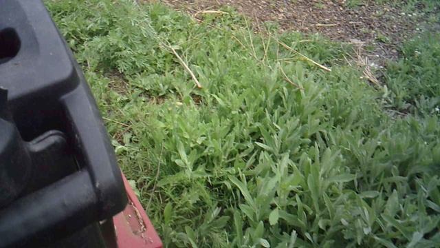 Измельчение сухостоя-травы и мелких веток садовым Измельчителем ЗУБР ЗИЭ-44-2800