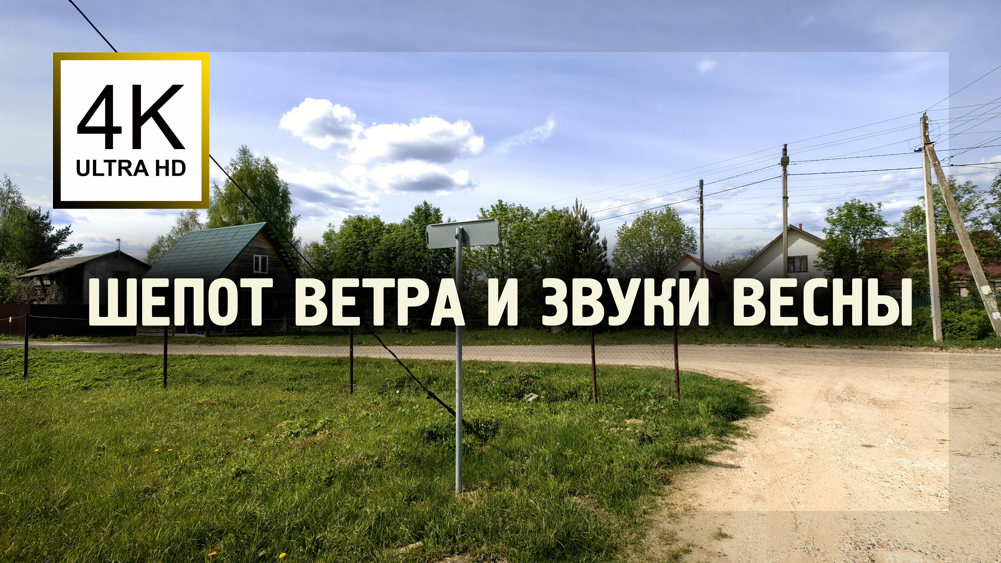 Тёплый эмбиент день в Новозавидовском  +15 🌿 Шёпот ветра, шаги, птицы | асмр релакс атмосфера