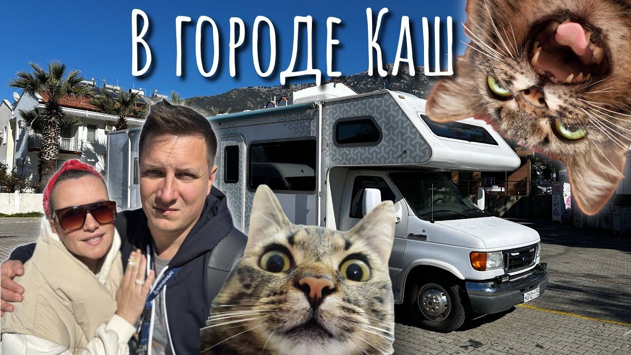 На Автодоме в Турцию. Город Каш  или кошачье царство.
