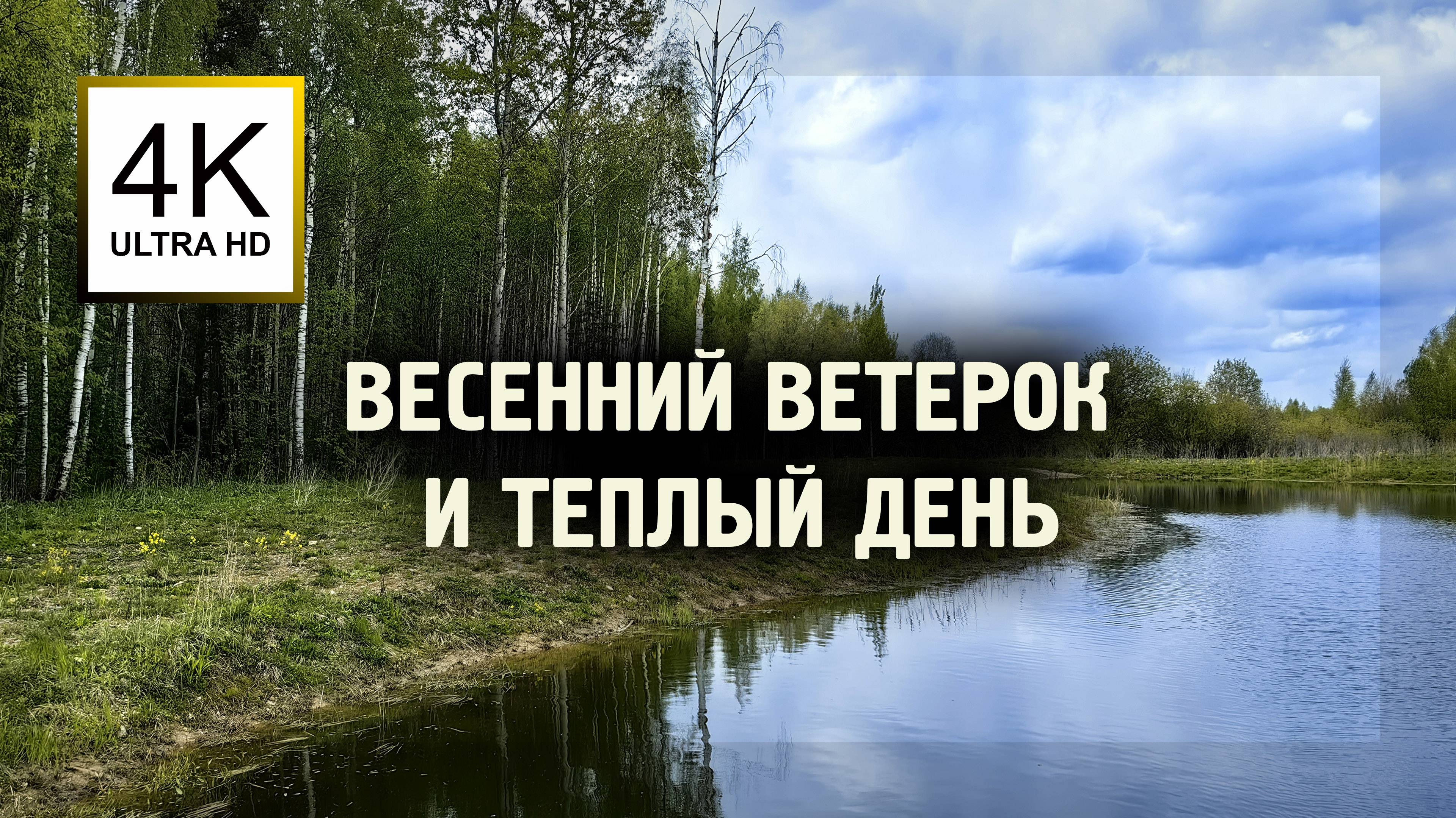 Асмр прогулка к стройке парка и отелей в Завидово | Тёплый эмбиент апрель, лёгкий ветерок 🍃 Релакс