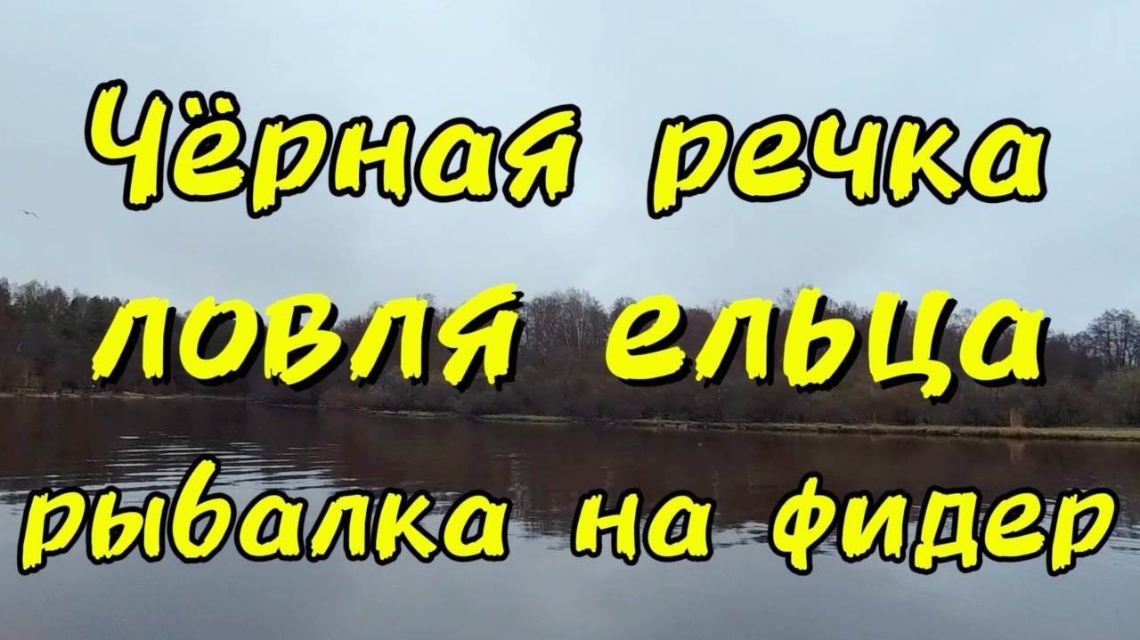 РЫБАЛКА НА ФИДЕР. Ловля ельца на Чёрной речке.