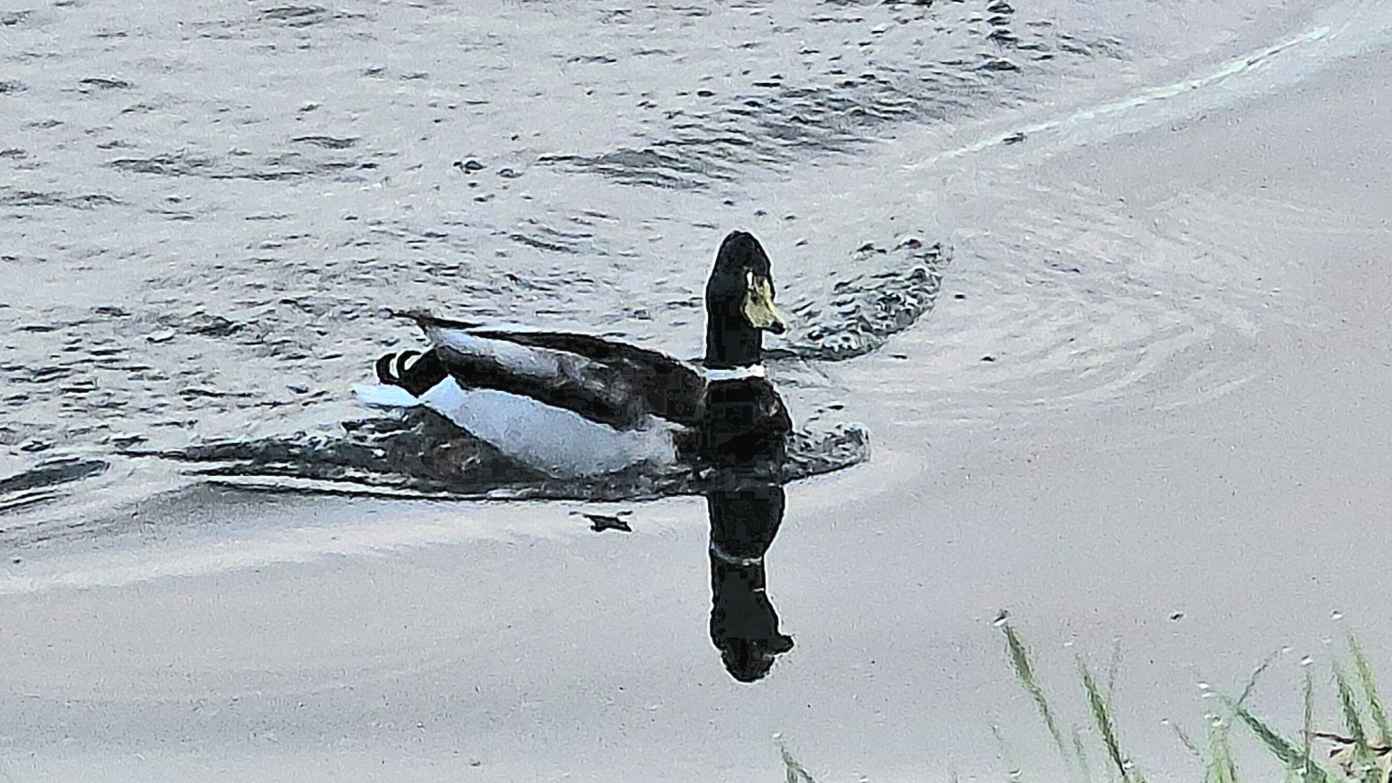 В конце сезона