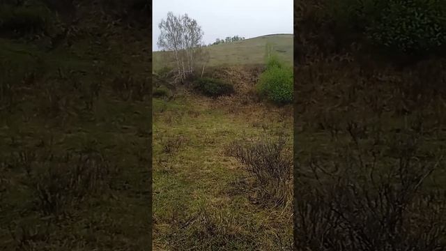 Нур Дәүләтбаев - Иҫән-һау ҡайтығыҙ