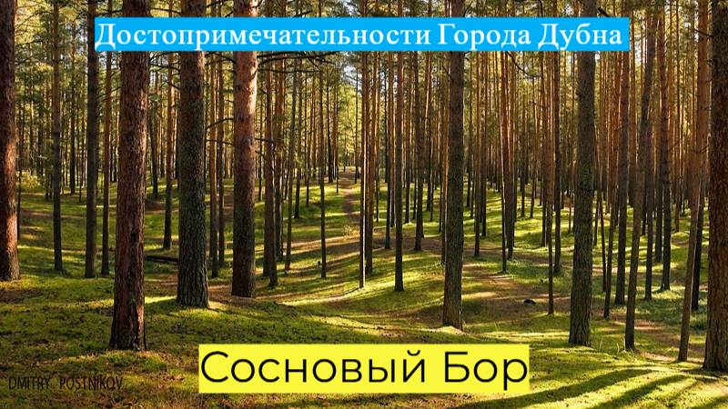 Сосновый бор /  Достопримечательности города Дубна  / # 15