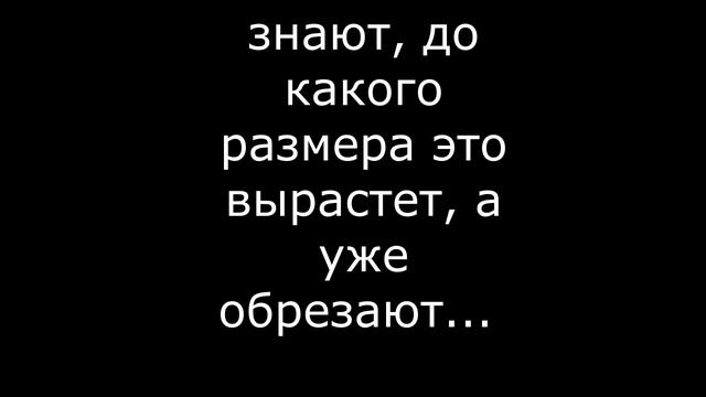 Анекдоты про евреев 15
