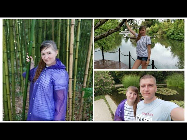 ВЛОГ ШТОРМ/ЮЖНЫЕ КУЛЬТУРЫ /ВЫМОКЛИ ПОД ЛИВНЕМ