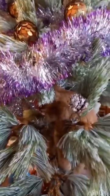 Рыжик на елке