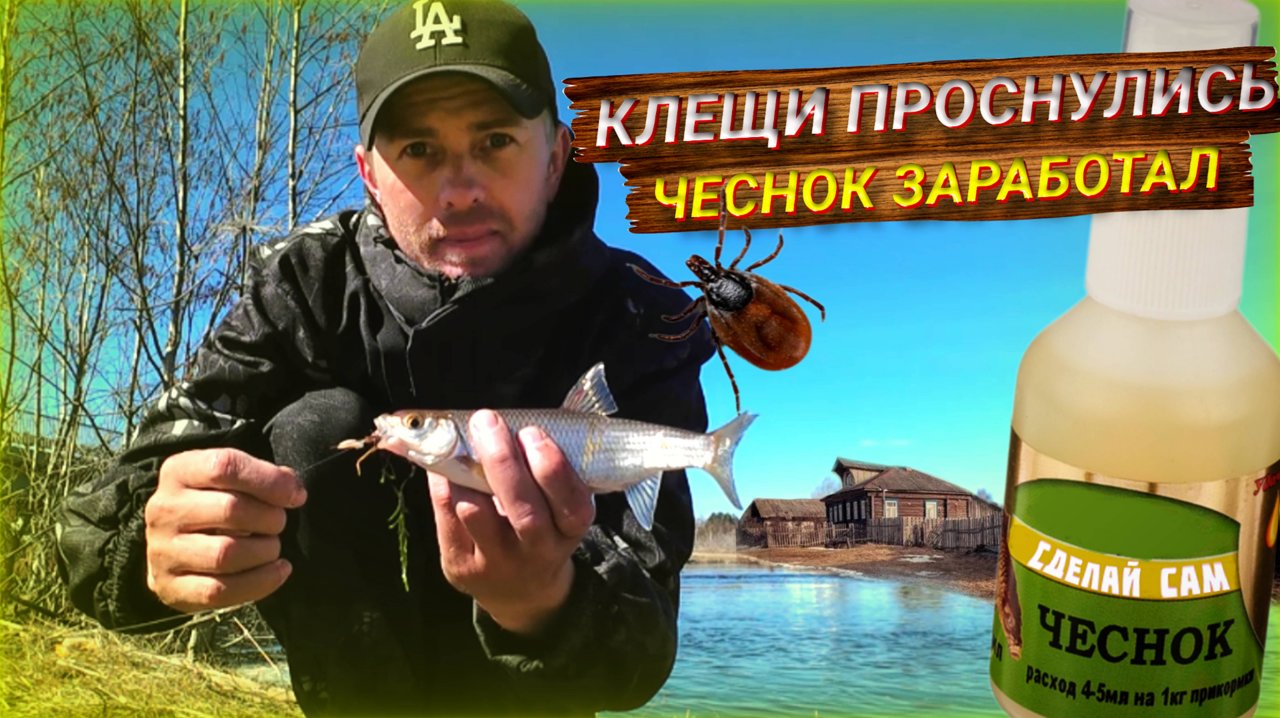 Капля чеснока сделала рыбалку. Ловлю клещей и рыбу в деревне.