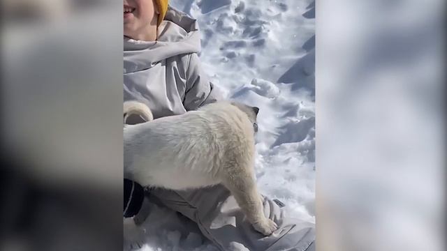 БЛОГЕР Андрей