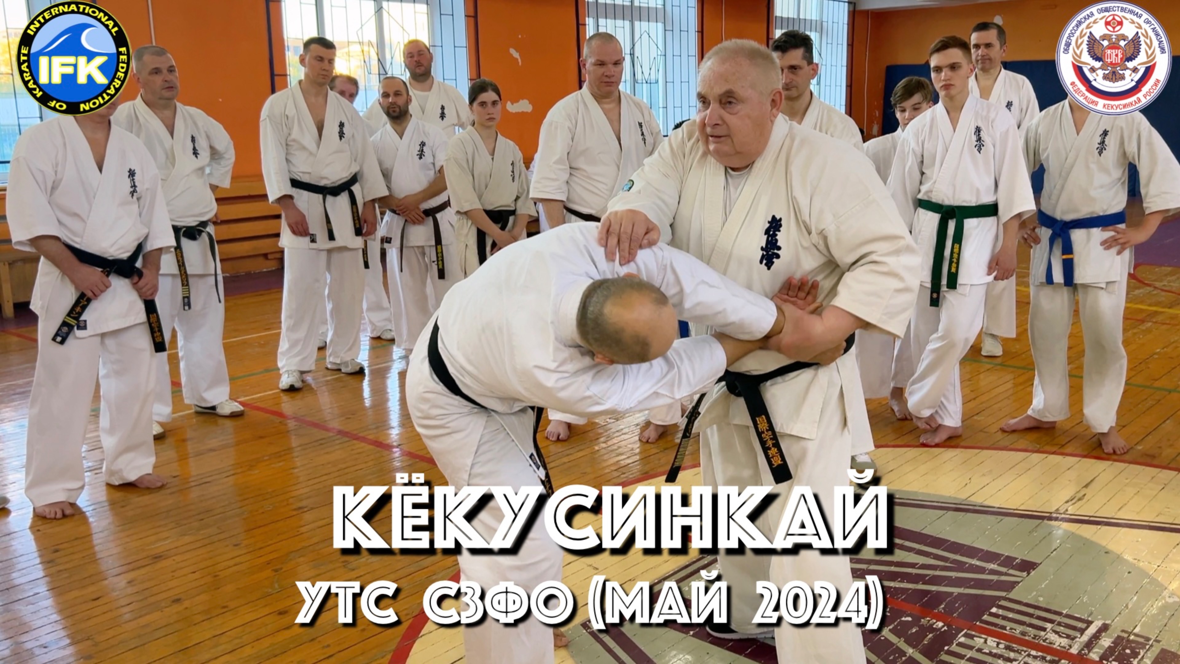 Кёкусинкай / Учебно-тренировочные сборы СЗФО / Сихан Танюшкин / Прикладной Кихон (май 2023)