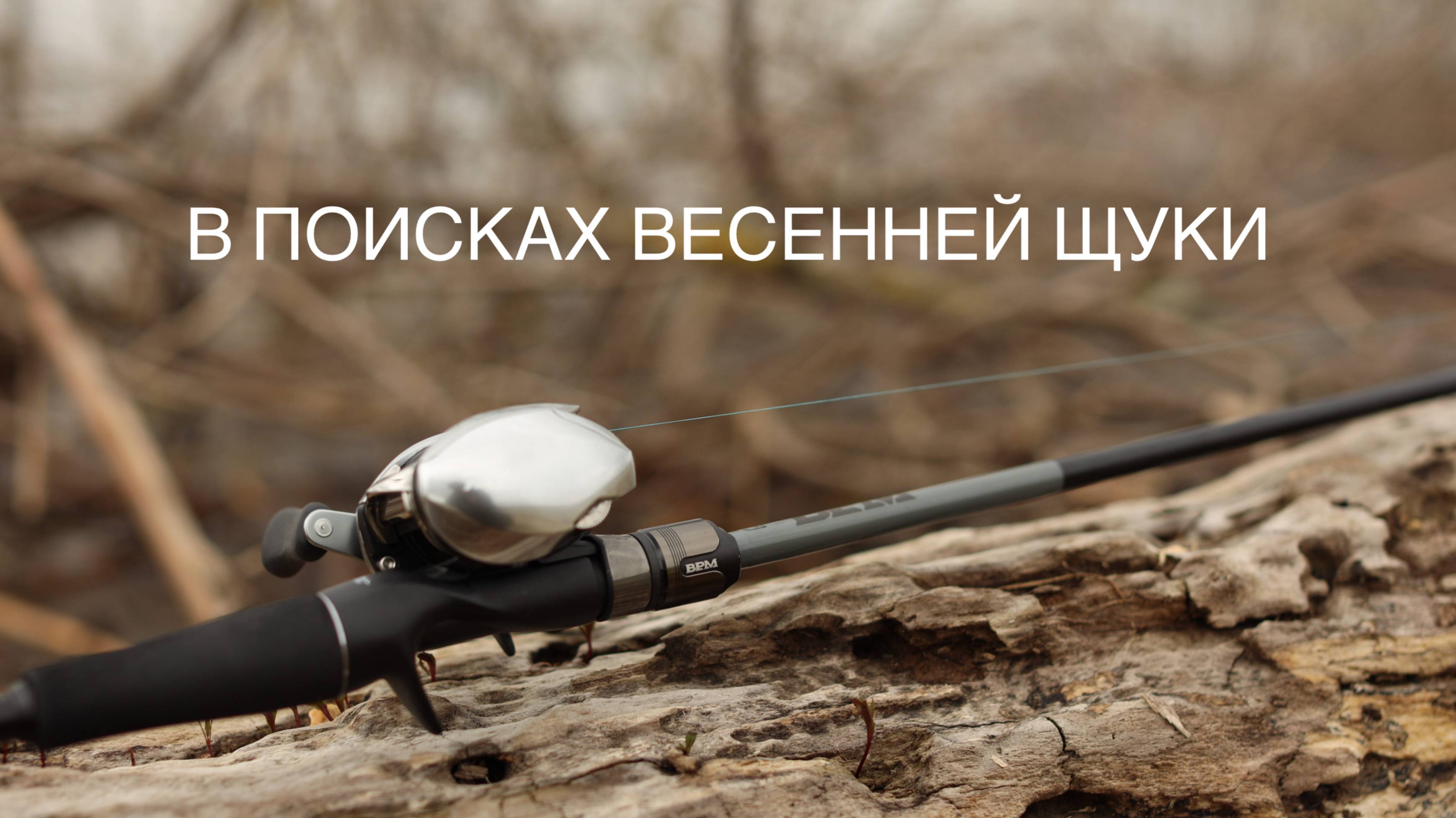 В поисках весенней щуки