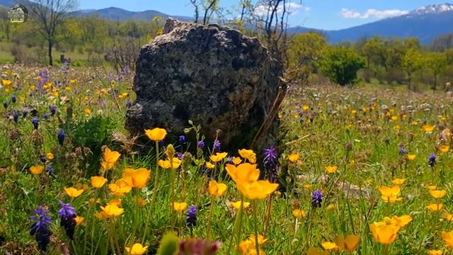 ВЕСЕННЯЯ МУЗЫКАЛЬНАЯ КОМПОЗИЦИЯ