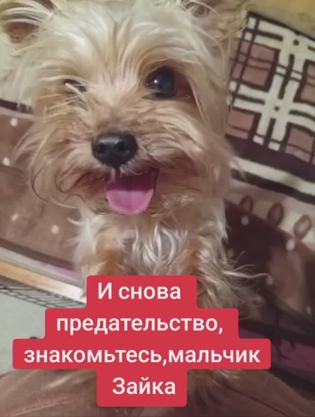 У нас снова  пополнение.
💔 Судьба маленького Зайки в наших руках!