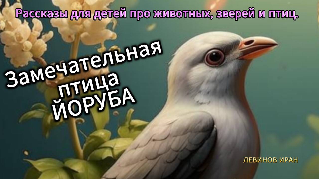 Птица Йоруба.   Рассказы для детей про животных, зверей и птиц.    Детский писатель Левинов Иран.