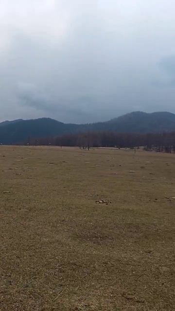 Обкатываю мопед Альфа M1RC50 выезд на природу👋👍