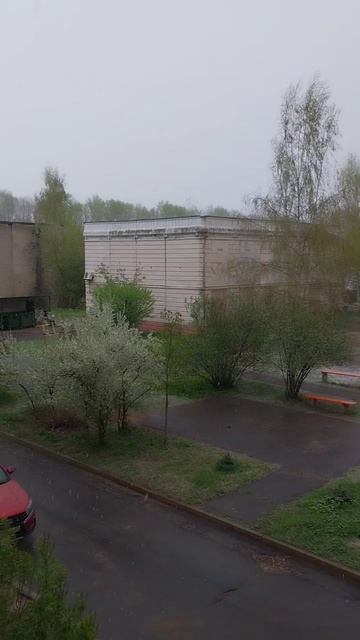 Прогноз не подвёл,  но через три минуты всё растаяло❄️❄️