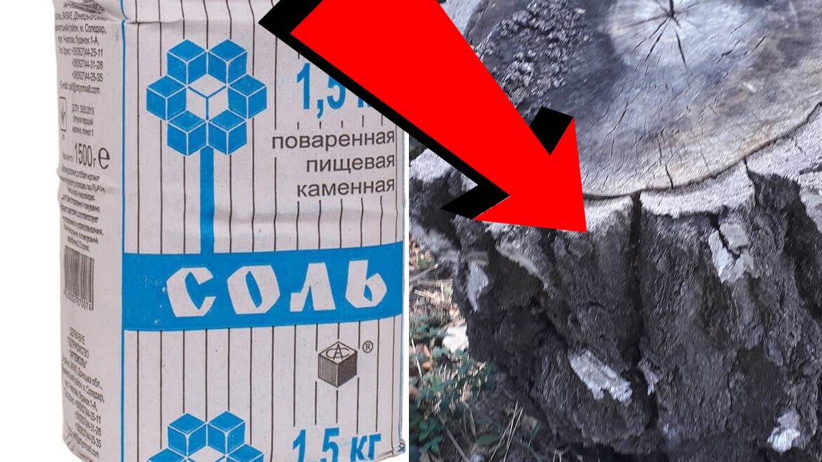 Как удалить пень без механического выкорчёвывания За 3 Секунды!