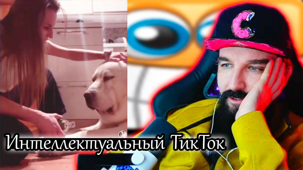САМЫЙ ИНТЕЛЛЕКТУАЛЬНЫЙ / TikTok