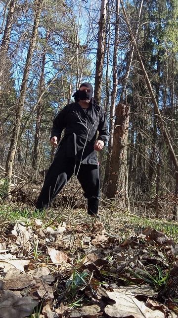 Крайне Северный Ниндзя: Боковой Кулаком (27.4.2025) Very Nordic Ninja: Side Kick by Fist #NinjaKick