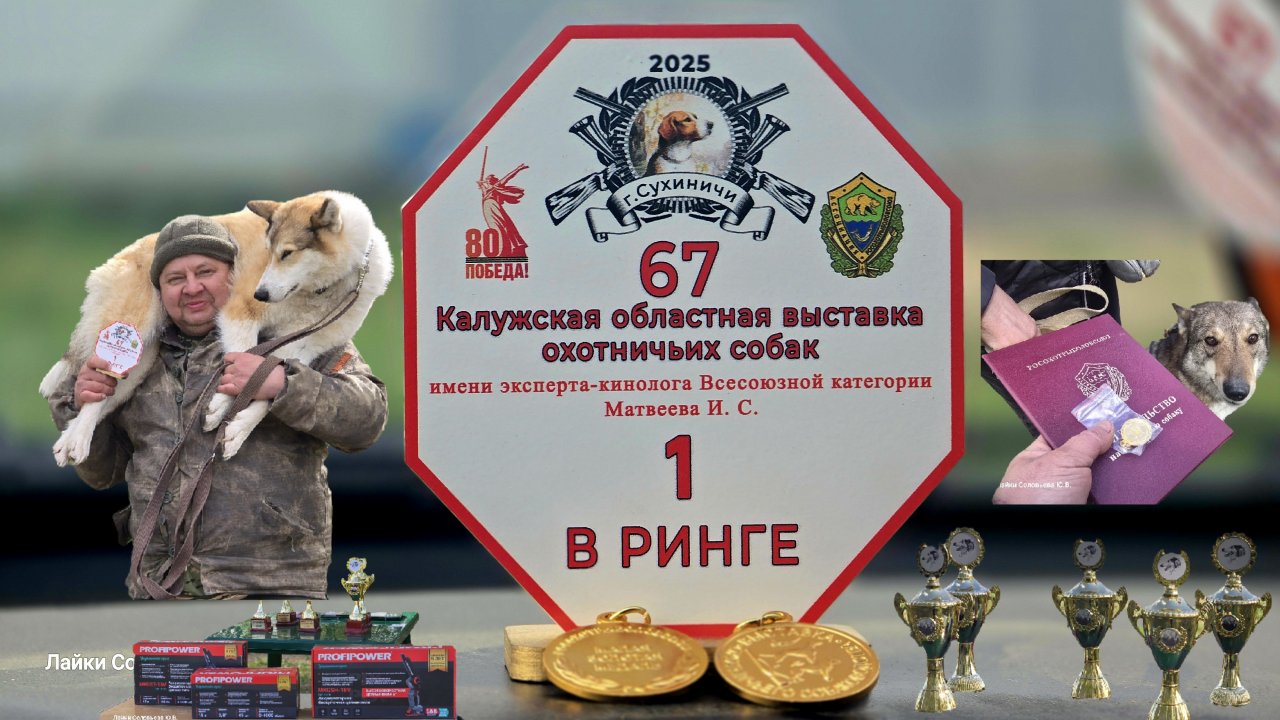 67 Калужская областная выставка охотничьих собак