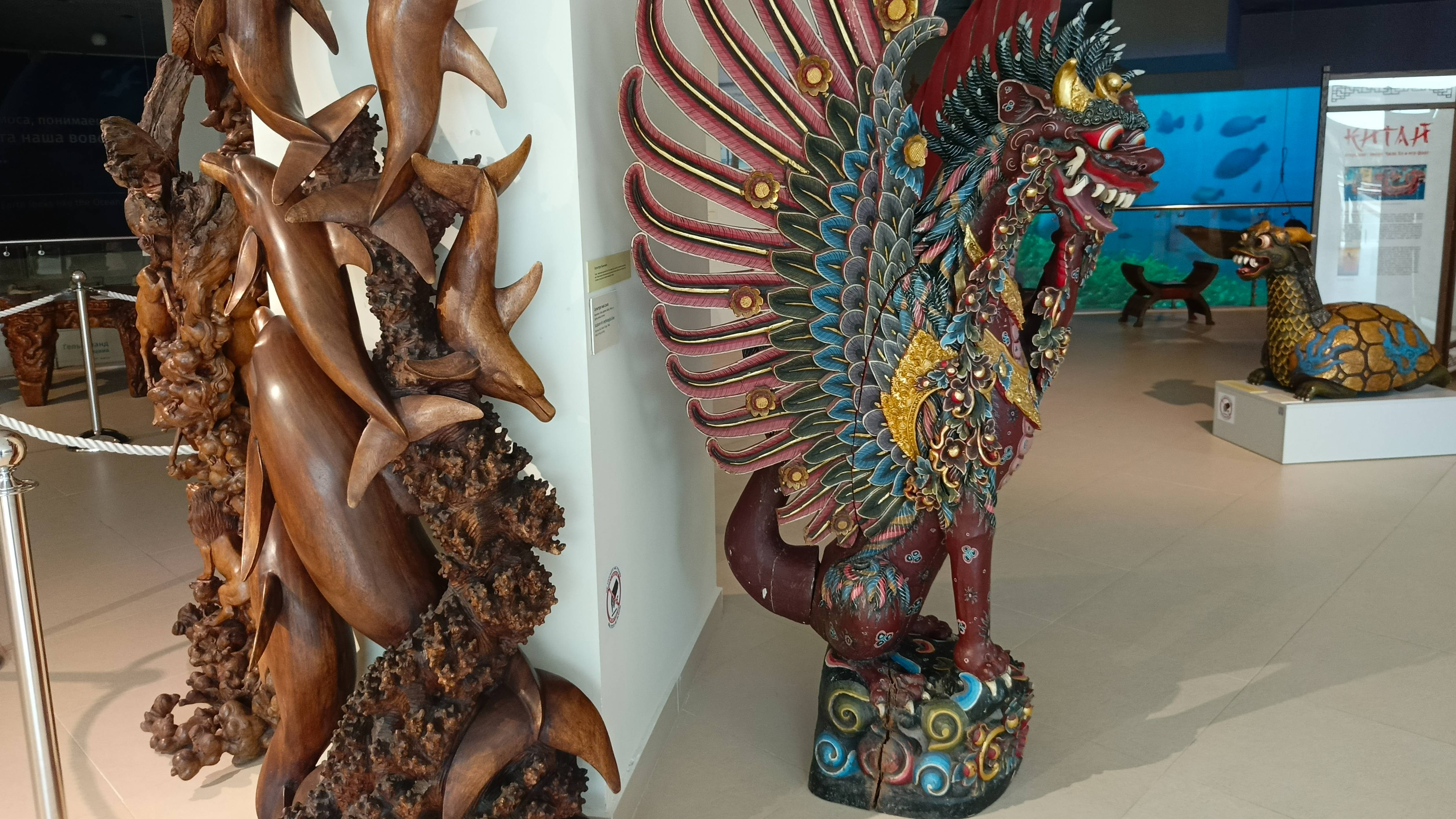 Светлогорск. Прогулка по городу и филиалу Музея Мирового океана