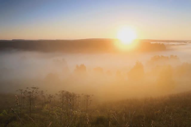Босоногая (простоволосая, стихи-Павлова Ольга, музыка и вокал-Биркин Миша, офор.-Павлова О.