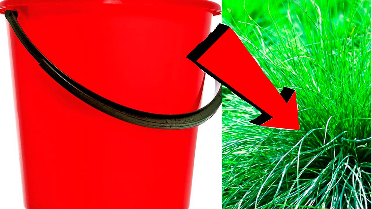 Как избавиться от травы и сорников За 3 Секунды.!!!!