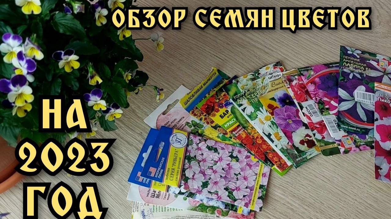 Обзор семян цветов на 2023 год. Луковицы гладиолусов, тюльпанов и семена других цветов.