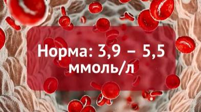 Не получается похудеть? Этот индекс поможет понять причину