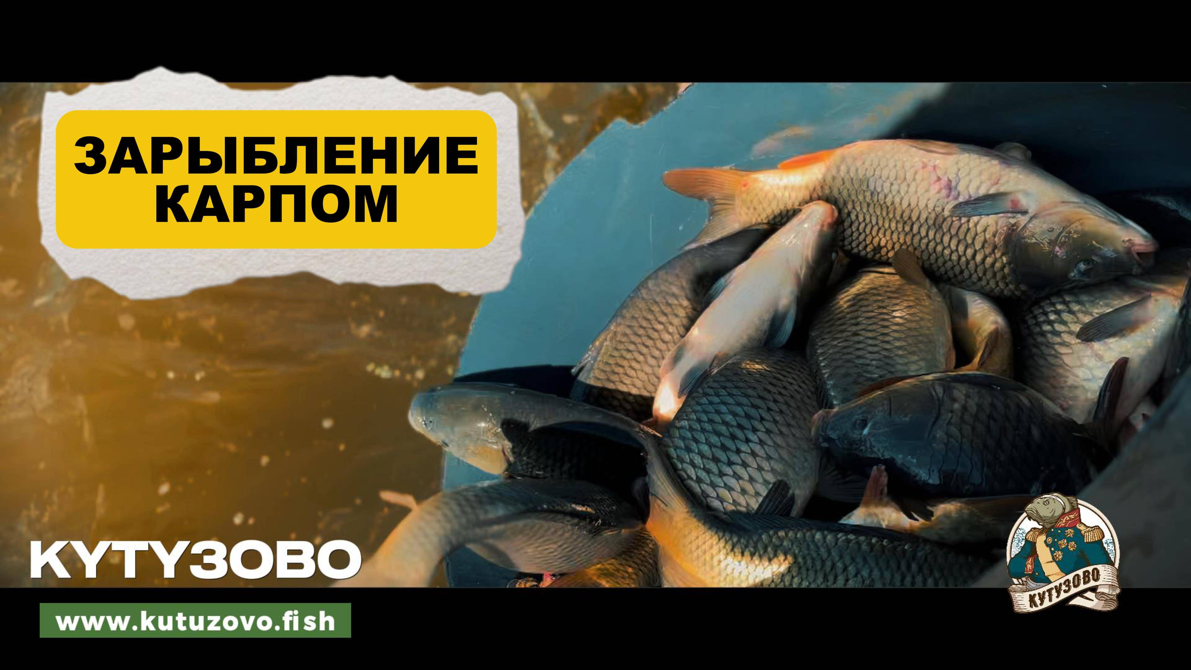 Зарыбление карпом 28.04.2025