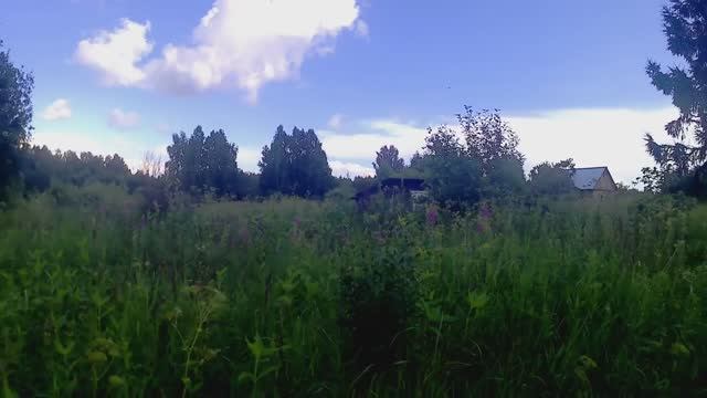 Обживаем купленный дом//сушим травы//14 июля 2019 года.