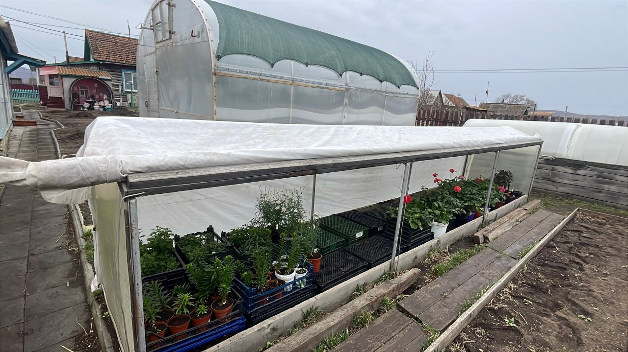 Накрыли тоннель, наконец-то разгрузили теплицу! Обзор парников, теплиц и тоннеля.