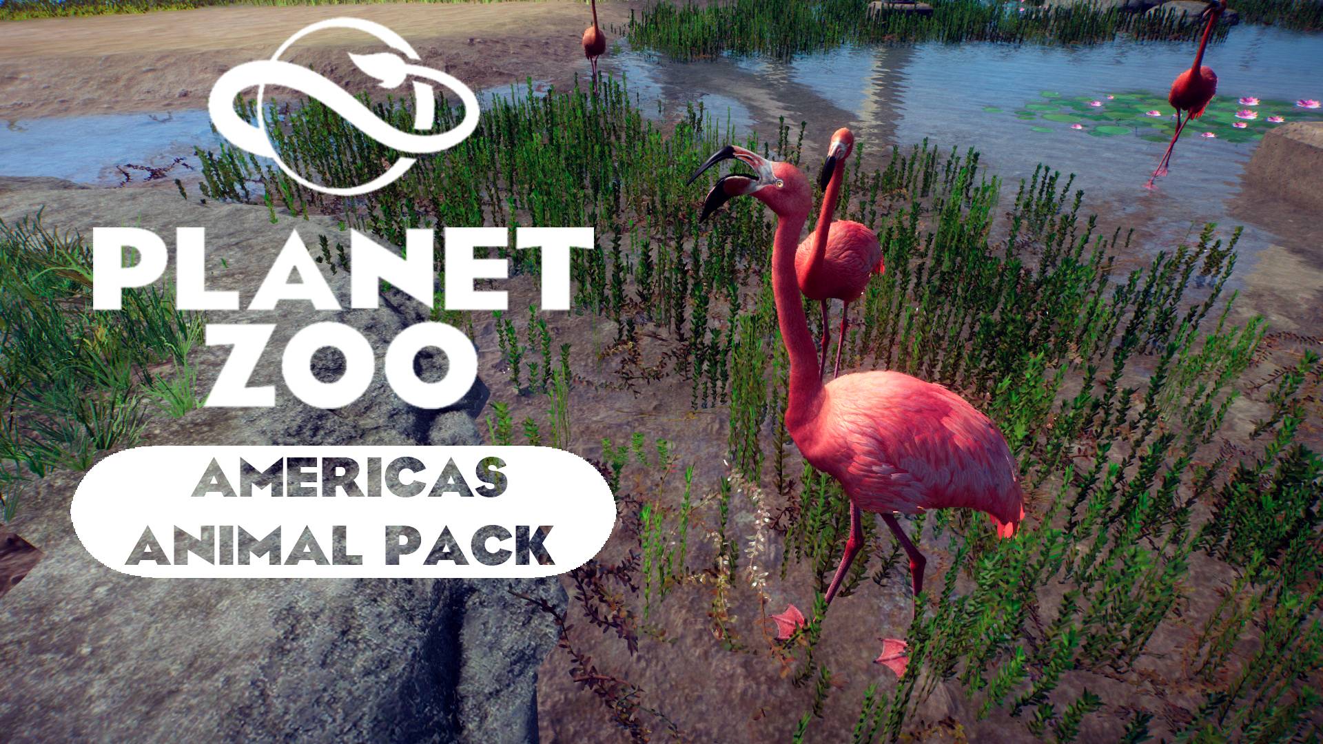 Planet Zoo: Americas Animal Pack - Красный фламинго