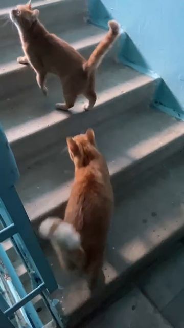 Снова один дома весь день