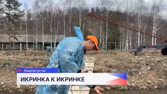 Новости "Волга 24" 25.04.2025 15:00