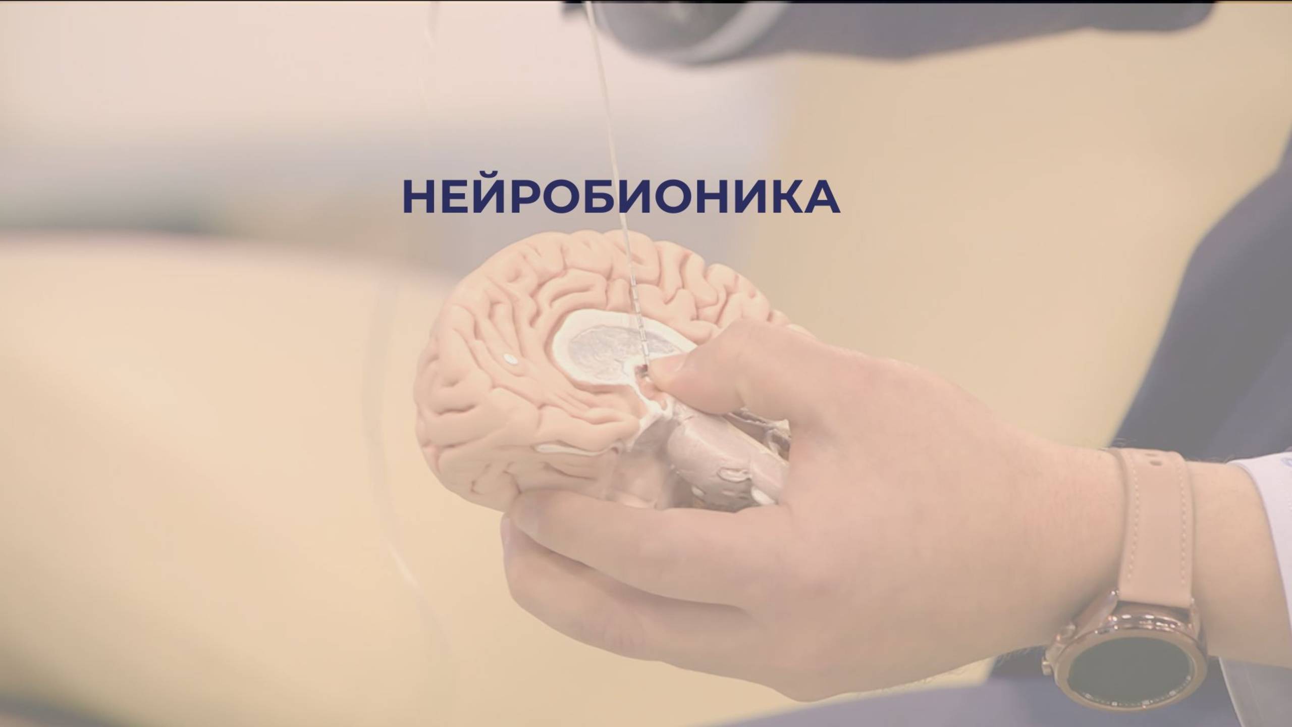 2. Нейробионика