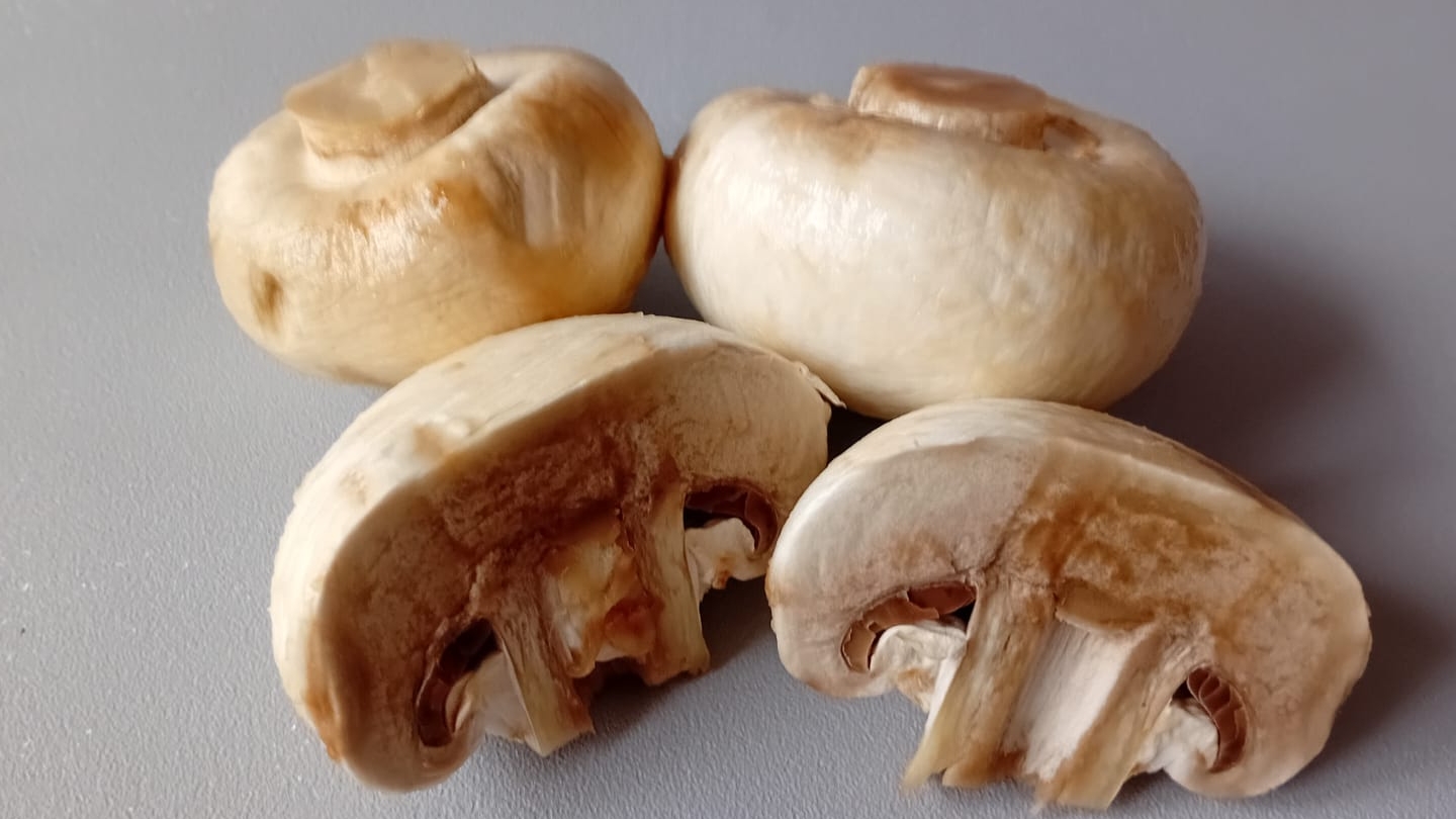 Вкусный грибной суп с шампиньонами