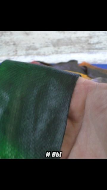 Крашеная кожа горбуши, выделка рыбьих кож в домашних условиях это просто и прибыльно