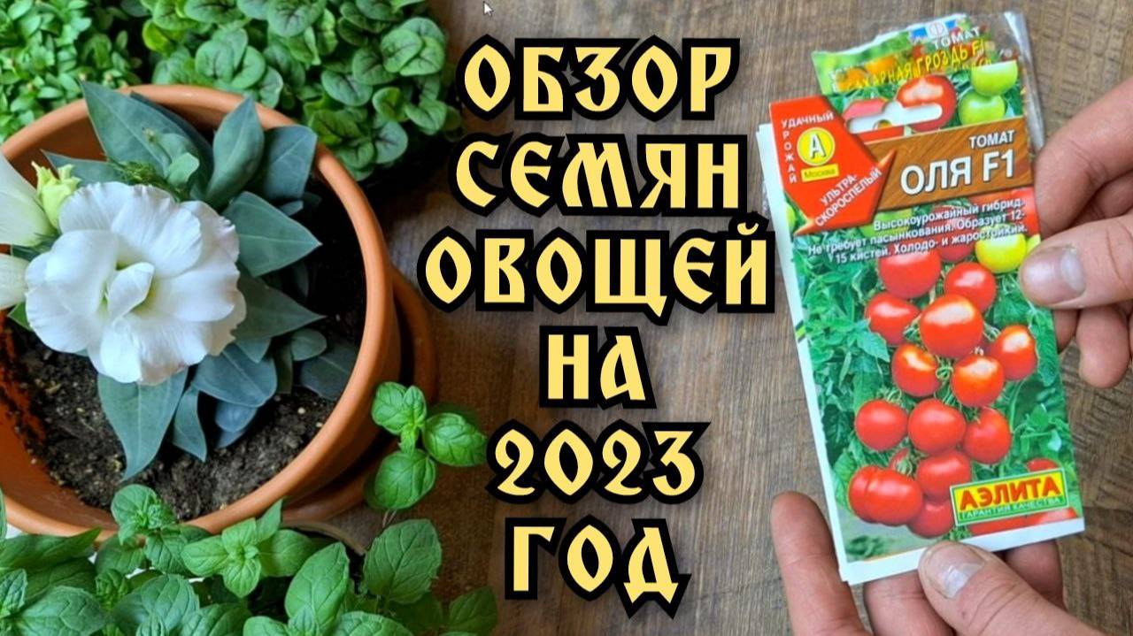 Семена овощей на 2023 год. Обзор семян овощей.Что буду сеять на рассаду.