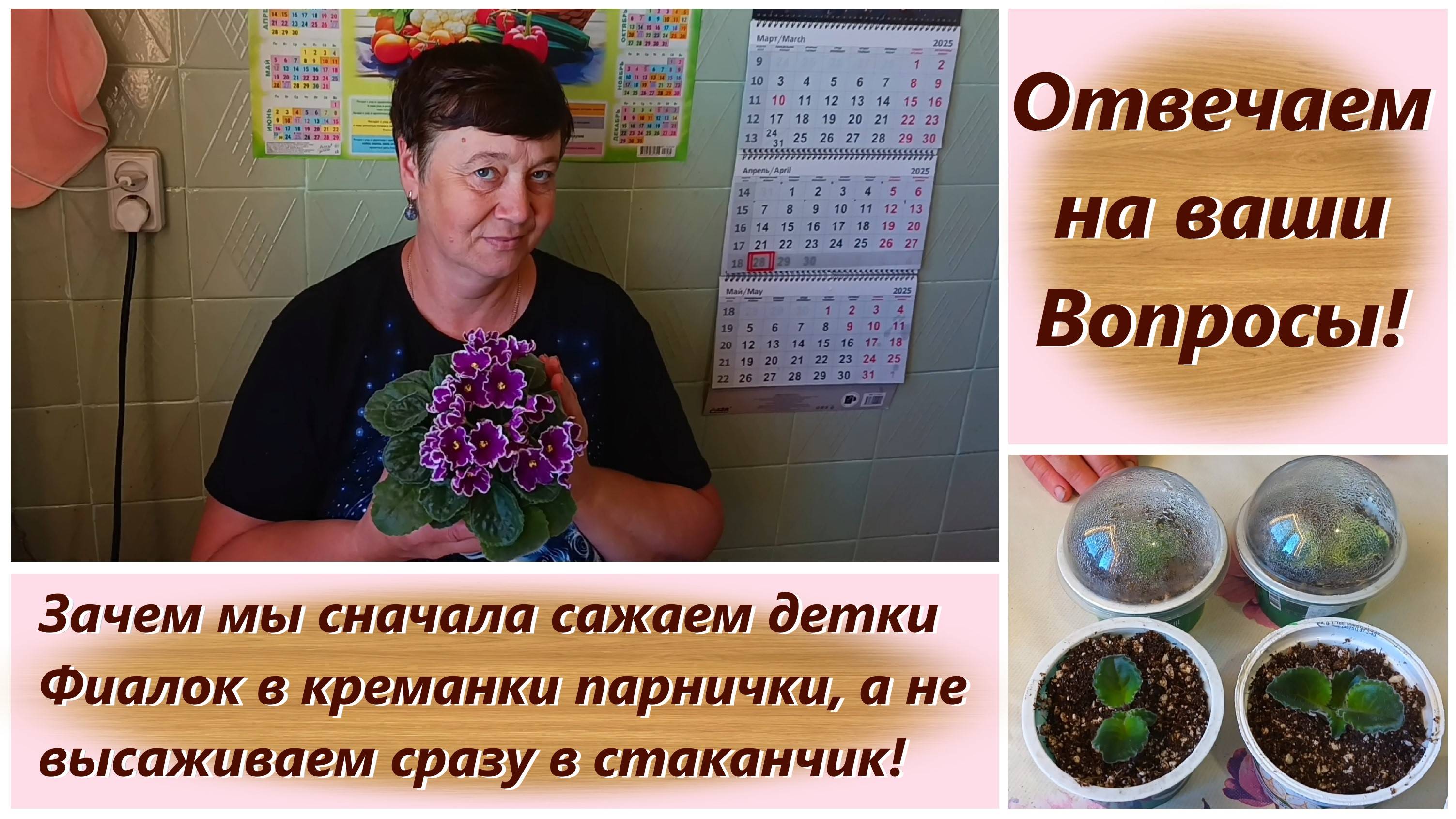Отвечаем на ваши Вопросы! Зачем мы сначала сажаем детки Фиалок в креманки парнички!