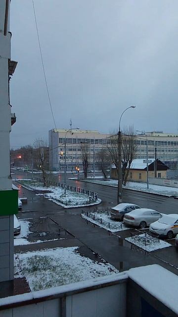 Снегопад 29 апреля 2025 года