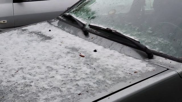 Жизнь за кадром. Цветёт черёмуха, немного юмора 🤣