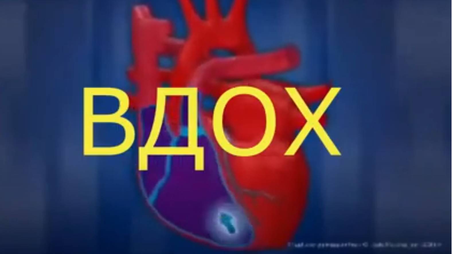 Полный вдох и выдох ЙОГОВ . Удары КЛАПАНОВ СЕРДЦА. Диафрагма КАЧАЕТ КРОВЬ!