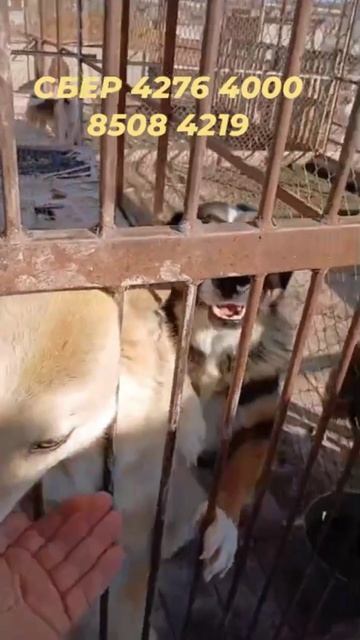 Помогите физически, кто рядом!