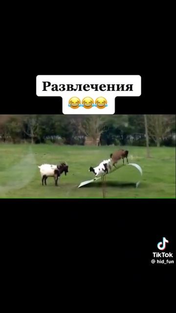 Вот, прикольная штуковина!.. 🤣