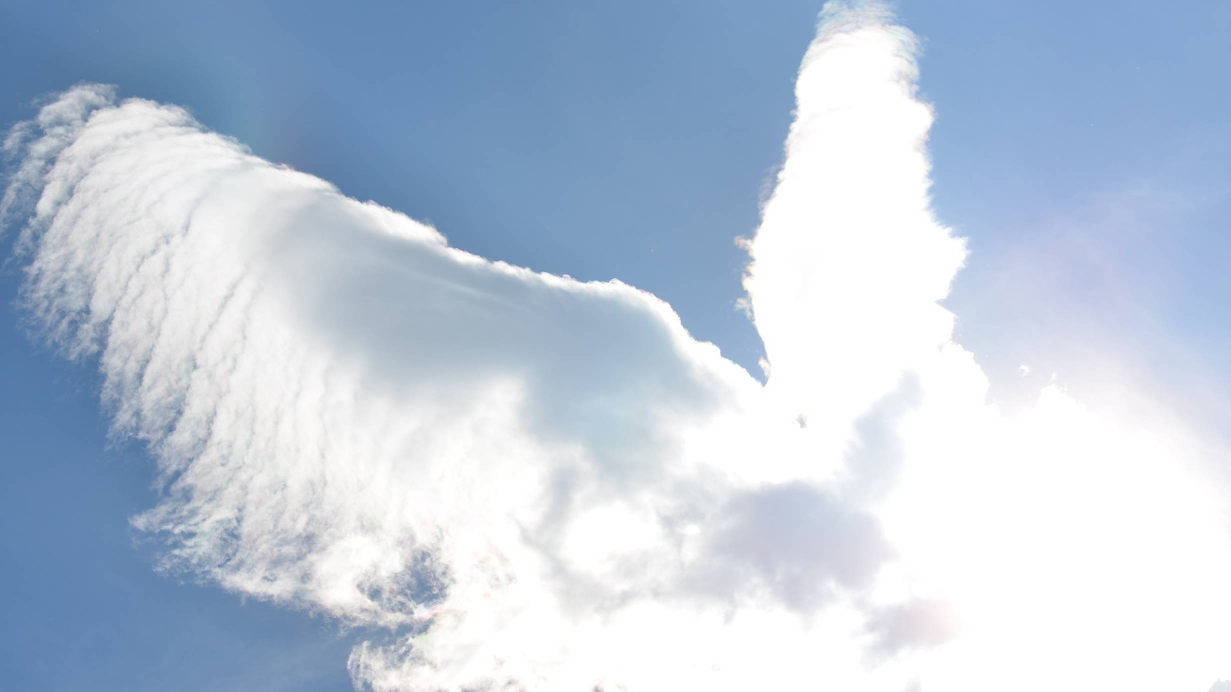 Федченко Олег - На белых облаках