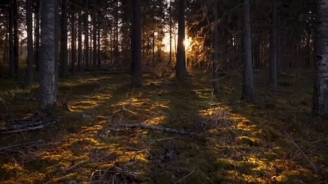 АЯТ К РАЗУМУ МИРОЗДАНИЯ... взывайте к Вселенной этими словами в любое время