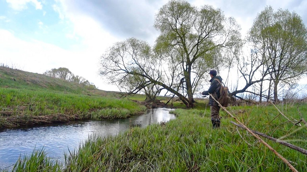 ТУТ РЕКУ ПЕРЕПРЫГНЕШЬ, а СТОЛЬКО ЩУКИ! Рыбалка на спиннинг в мае